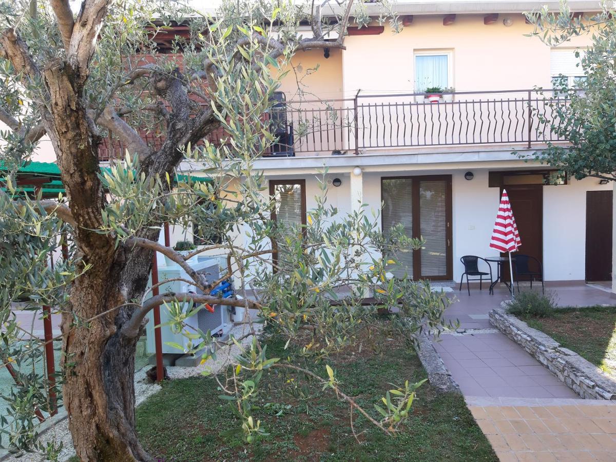 Studio Rocco Novigrad Istria Exterior foto